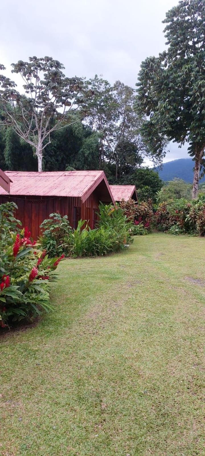 Cabinas La Catarata La Fortuna Екстер'єр фото