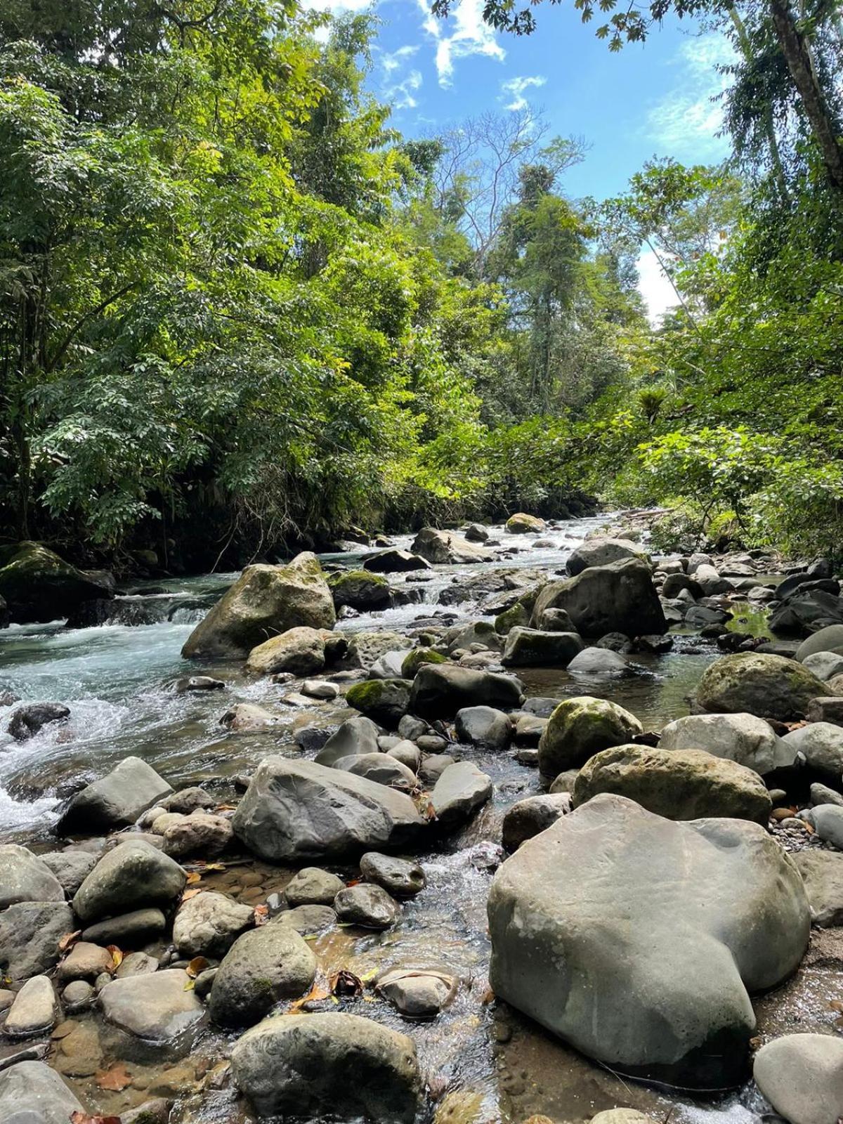 Cabinas La Catarata La Fortuna Екстер'єр фото